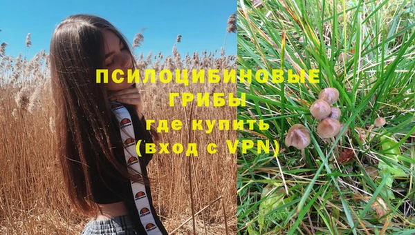 ешки Богородицк