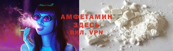 гидра Бородино
