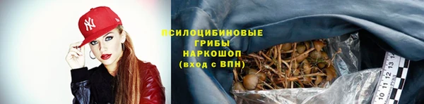 кокаин Богданович
