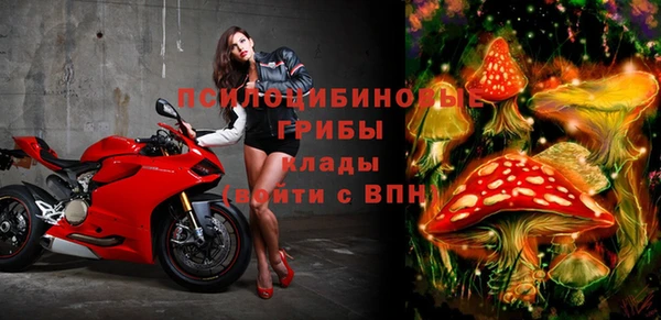 гидра Бородино