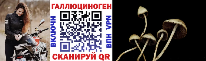 где купить наркотик  Альметьевск  Галлюциногенные грибы MAGIC MUSHROOMS 